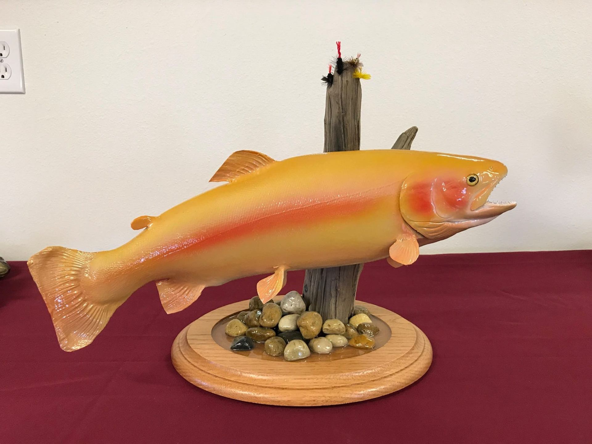 Palomino Trout (Oncorhynchus mykiss) fish taxidermy mount by Stehlings Taxidermy — Palomino Trout single mount, gallery thumbnail, photo 4 of 4